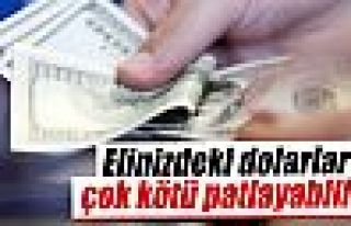 Uzmanından dolar uyarısı