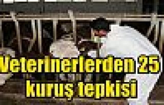 Veterinerlerden 25 kuruş tepkisi