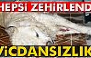 VİCDANSIZLAR!