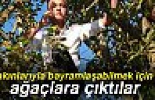 YAKINLARIYLA BAYRAMLAŞMAK İÇİN AĞAÇLARA ÇIKTILAR!