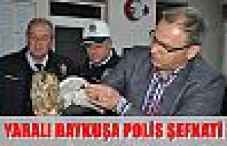 Yaralı baykuşa polis şevkati