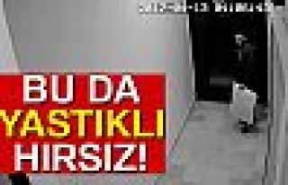 YASTIKLI HIRSIZ!