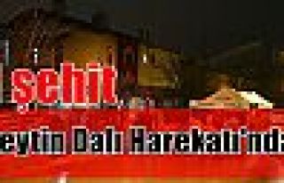 Zeytin Dalı Harekatı'nda 1 şehit