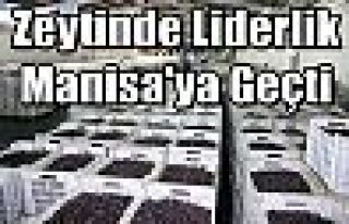 Zeytinde Liderlik Manisa'ya Geçti