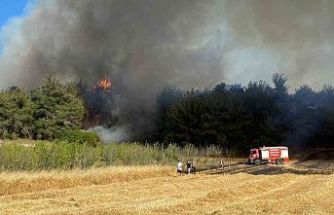 Çanakkale'de alevlerle mücadele sürüyor... 575 hektarlık alan etkilendi